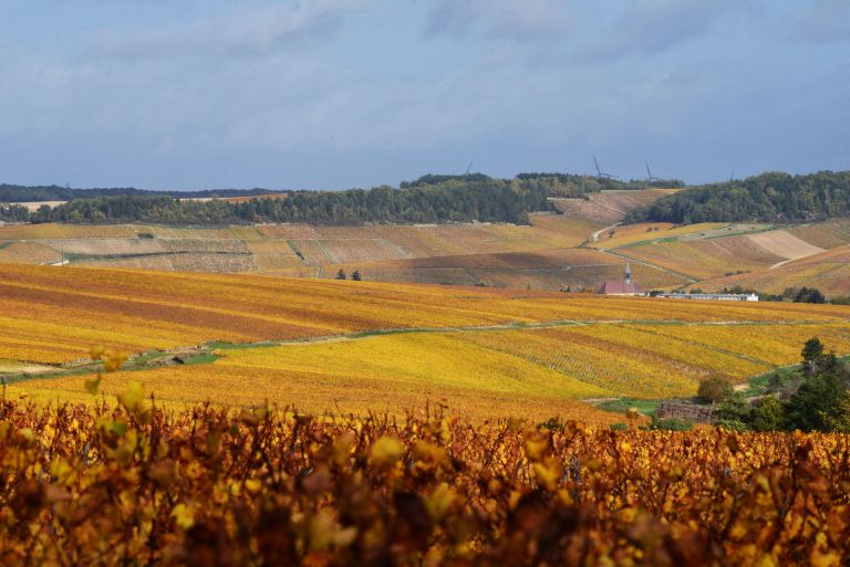 chablis vu des Petits Chablis