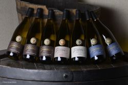 Domaine des Geneves - Fédération des Vignerons Indépendants de l'Yonne