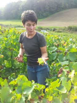 Domaine Cote Céline - Fédération des Vignerons Indépendants de l'Yonne