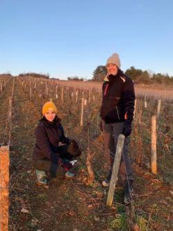 Domaine Thierry LAFFAY et Filles - Fédération des Vignerons Indépendants de l'Yonne