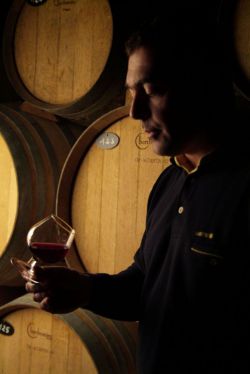 Domaine Benoit Cantin - Fédération des Vignerons Indépendants de l'Yonne